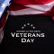 VETERANS DAY PROGRAMS